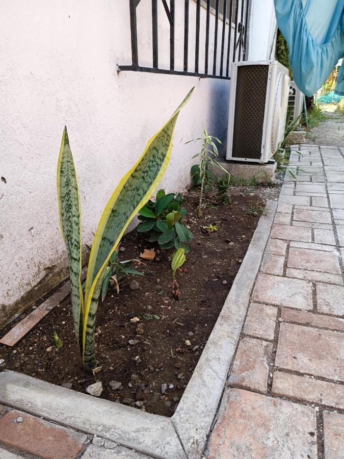 Hostal A 10 Min Del Centro De Veracruz Zewnętrze zdjęcie